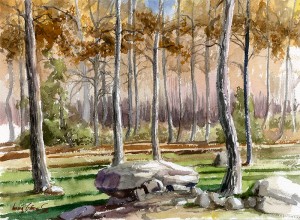 Rebollo / Pyrenean oak / Quercus pyrenaica - Acurela / Watercolour - © Lucía Gómez Serra