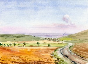 Samanes - Acuarela / watercolour - ® Lucía Gómez Serra