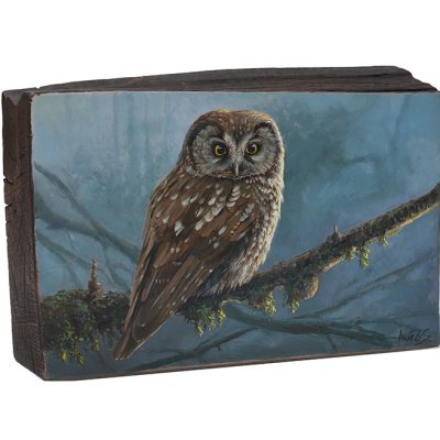 Aegolius funereus / Mochuelo boreal / Tengmalm’s owl - Óleo sobre bloque de madera de haya / Oil painting on beech wood - 26 x 16,5 x 6,5 cm - © Lucía Gómez Serra