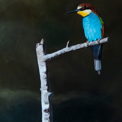 Abejaruco europeo / European bee-eater / Merops apiaster – Óleo / Oil painting – © Lucía Gómez Serra