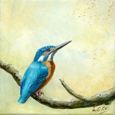 Martín pescador común / Common kingfisher / Alcedo atthis – Óleo sobre lienzo y bastidor 3D / Oil painting on canvas – 15 x 15 x 3,5 cm -© Lucía Gómez Serra
