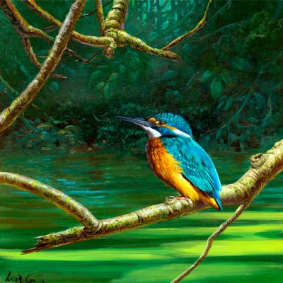 Martín pescador común / Common kingfisher / Alcedo atthis – Acrílico sobre lienzo y bastidor 3D / Acrylic painting on canvas – 30,2 x 30,2 x 3,9 cm -© Lucía Gómez Serra