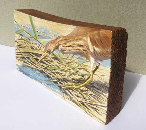 Garcilla cangrejera / Ardeola ralloides - Obra realizada al óleo sobre bloque de madera – © Lucía Gómez Serra