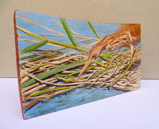 Garcilla cangrejera / Ardeola ralloides - Obra realizada al óleo sobre bloque de madera – © Lucía Gómez Serra